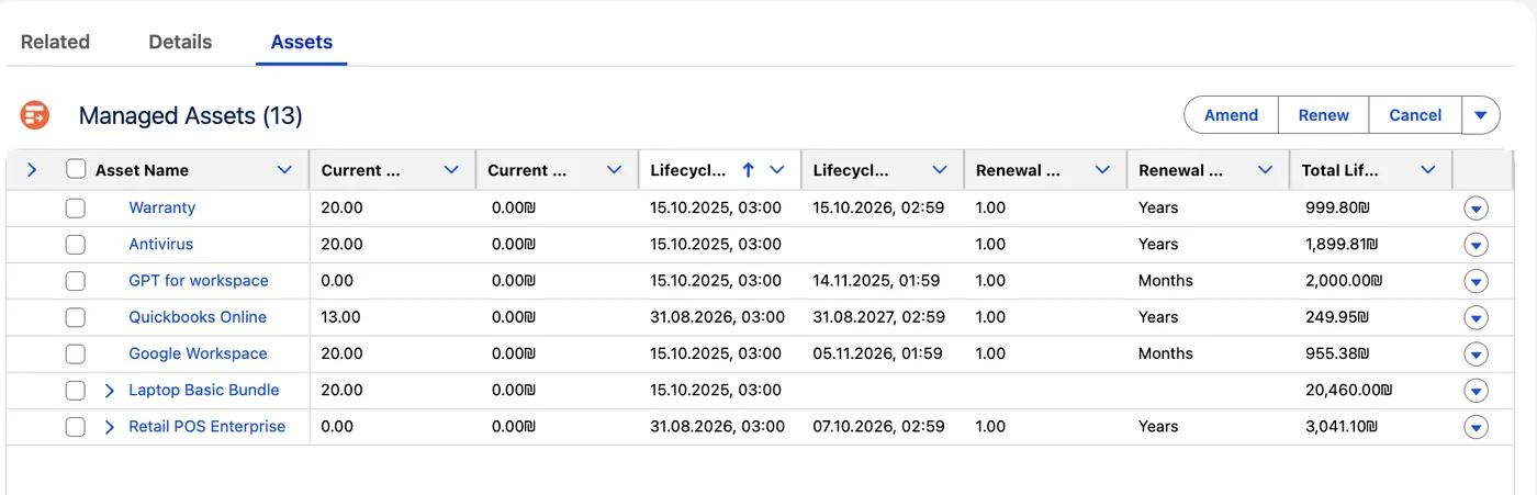 Le panneau Managed Assets d’un compte Revenue Cloud : la liste des actifs détenus, leurs dates de cycle de vie et leur durée de renouvellement, avec les boutons Amend, Renew et Cancel.